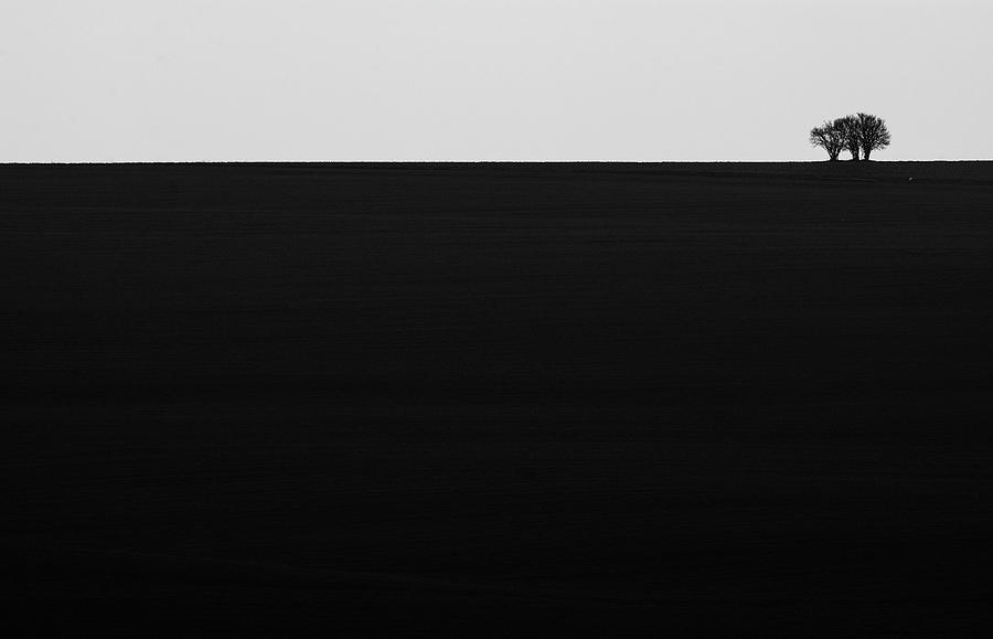 Lonely Trees Photograph by Martin Vorel Minimalist Photography
