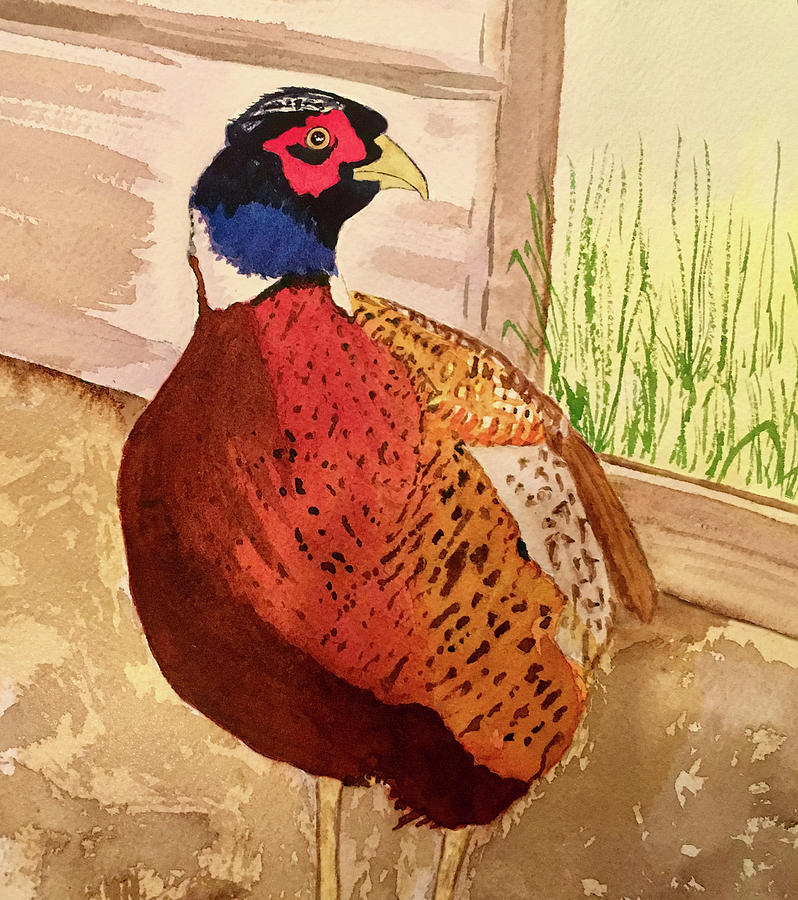 Ring Neck Rooster Pheasant Painting by Deborah League
