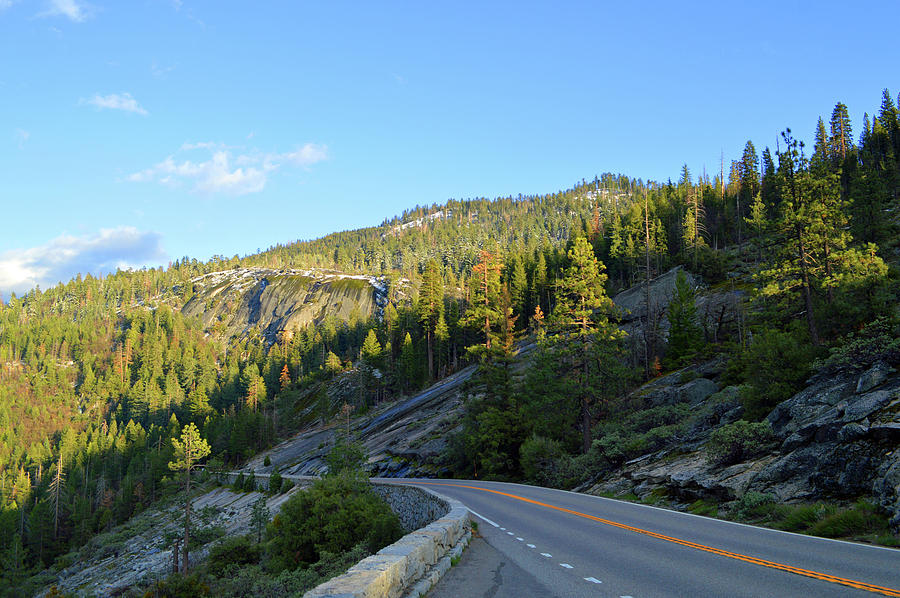 Lonely Wawona Road Photograph by Eric Forster