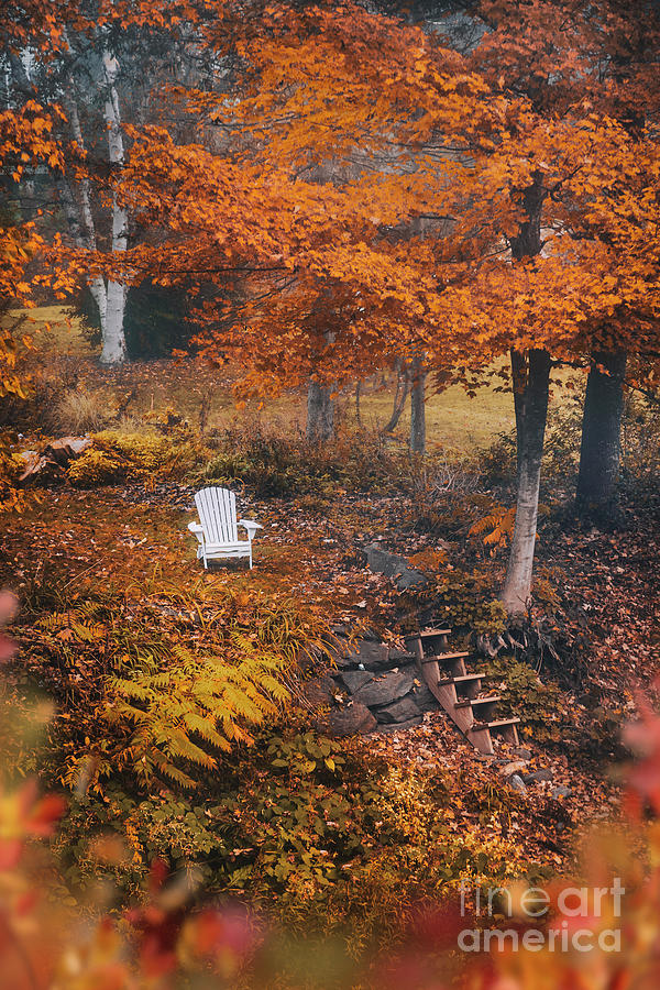 Lonesome Autumn Photograph by Evelina Kremsdorf