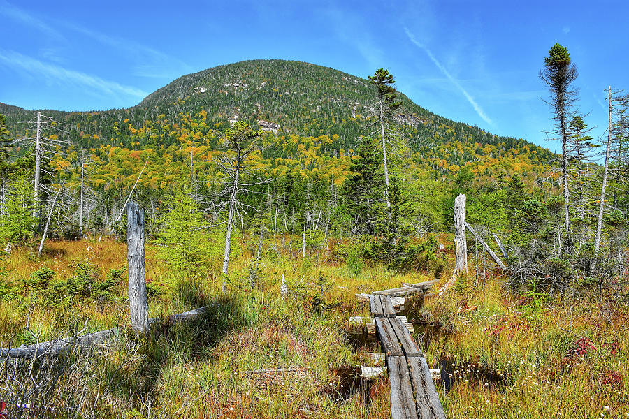 Lonesome Lake Trail Photograph by Monika Salvan Lonesome Lake Trail Photograph by Monika Salvan