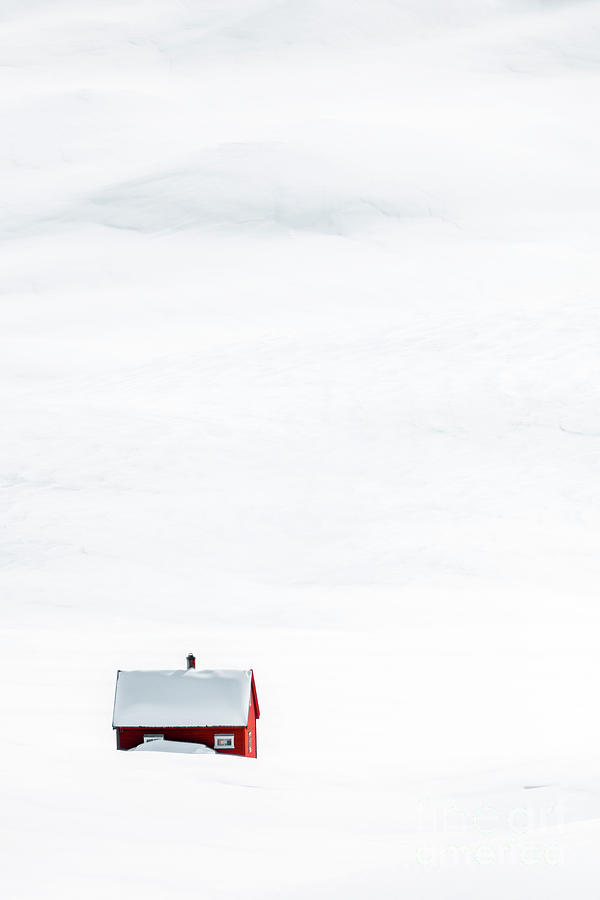 Lonesome Winter Photograph