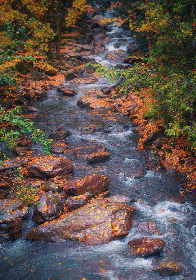 Long Autumn View on Buck Mountain Creek Photograph by Jason Fink
