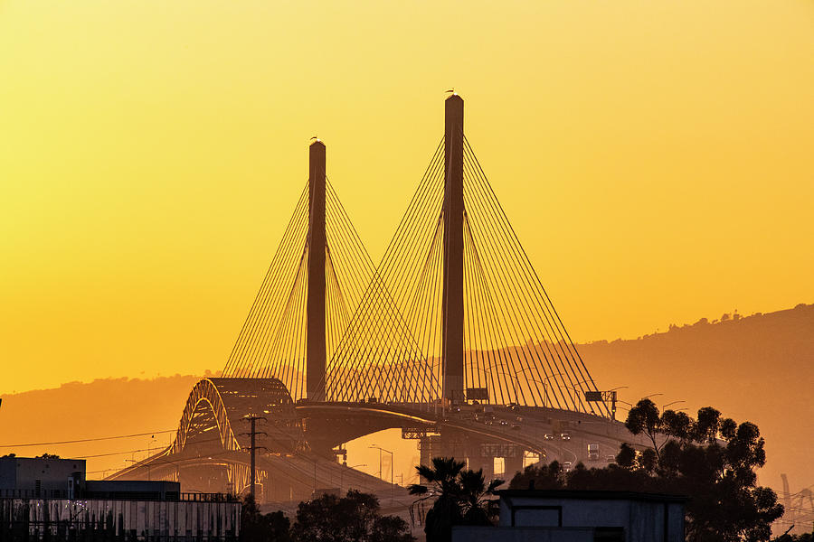 Long Beach International Gateway Bridge IV Photograph by David Kleeman