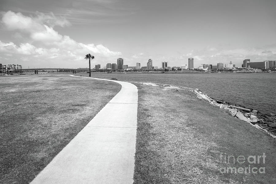 Long Beach Skyline Black and White Photo Photograph by Paul Velgos