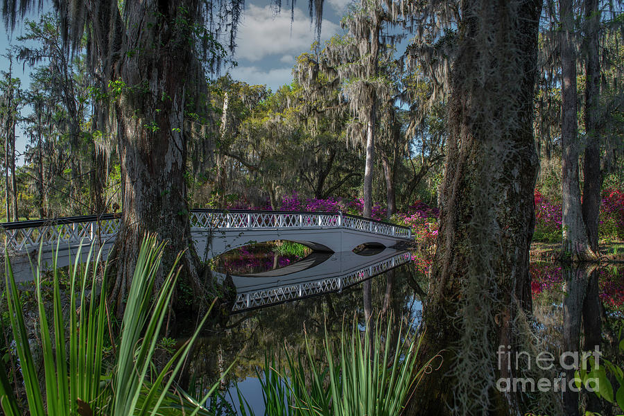 Long Bridge over Big Cypress Lake - Magnolia Plantation and Gardens Photograph by Dale Powell