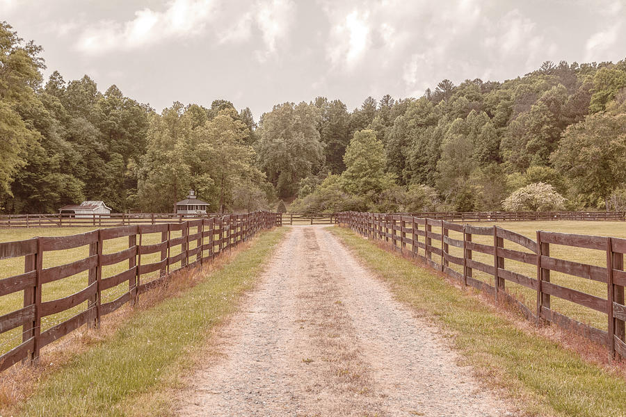 Long Country Fences in Hidden Valley Photograph by Debra and Dave Vanderlaan