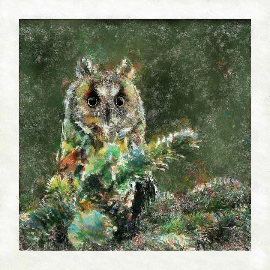 Long-eared Owl Painting by Maciek Froncisz
