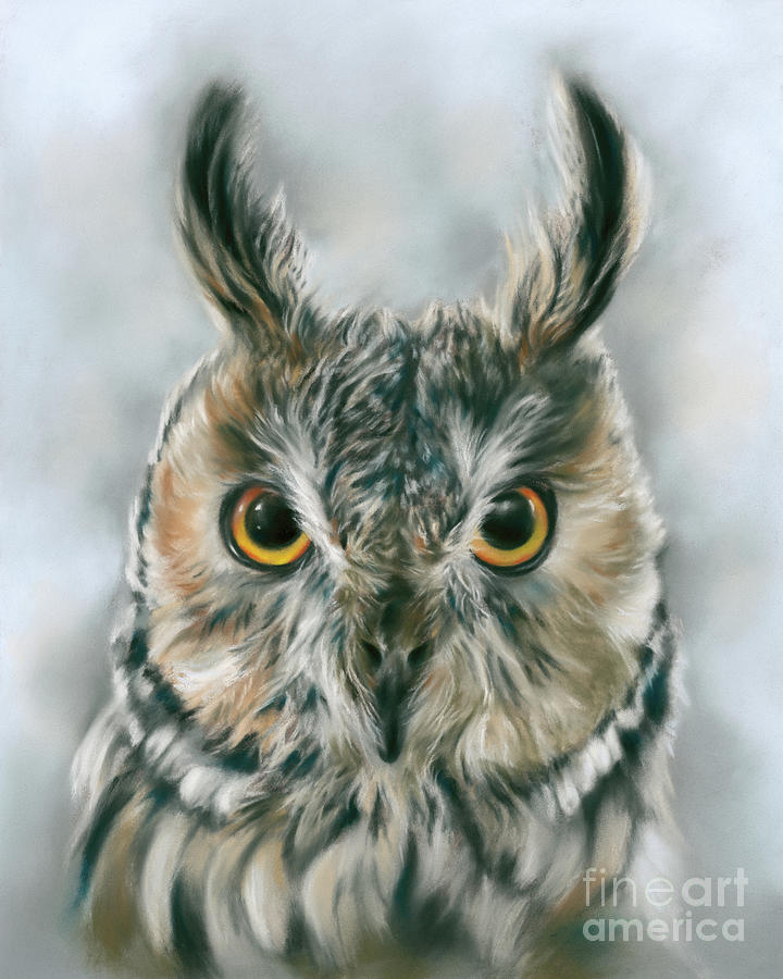 Owl Painting - Long Eared Owl by MM Anderson