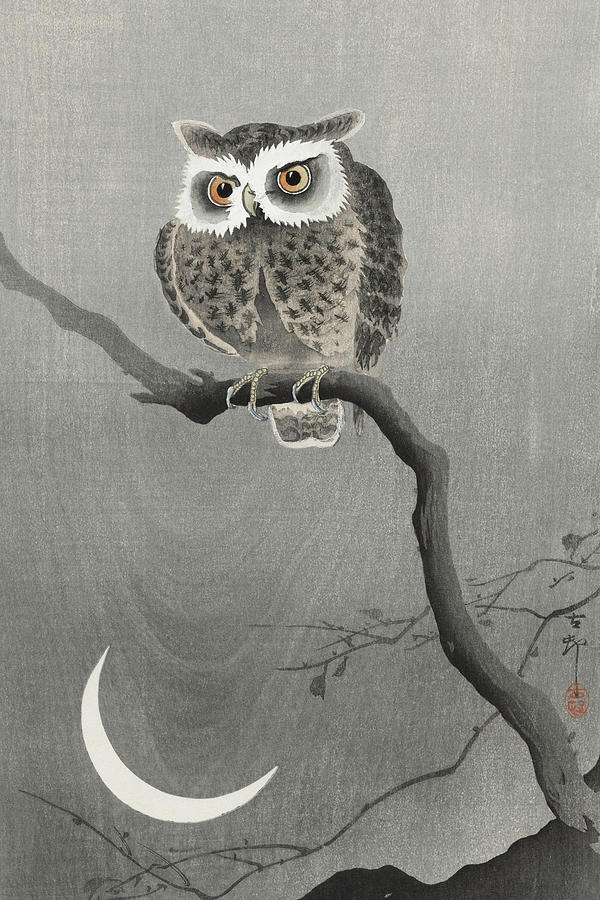 Long-eared owl on bare tree branch Painting by Ohara Koson - Pixels