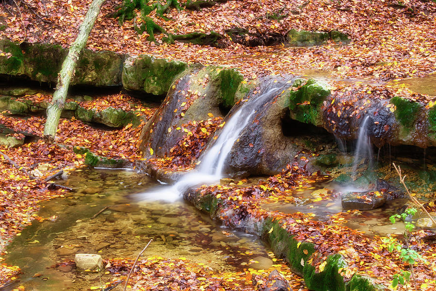 Long exposure photo of the tiny creek and waterfall in the forest near ...