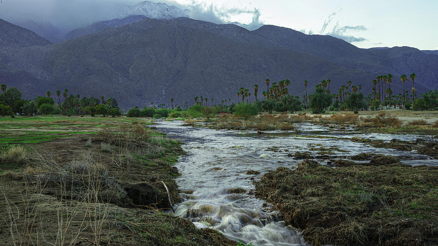 Long Exposure Tahquitz Creek Landscape Shot in Palm Springs  Photograph by Matthew Bamberg