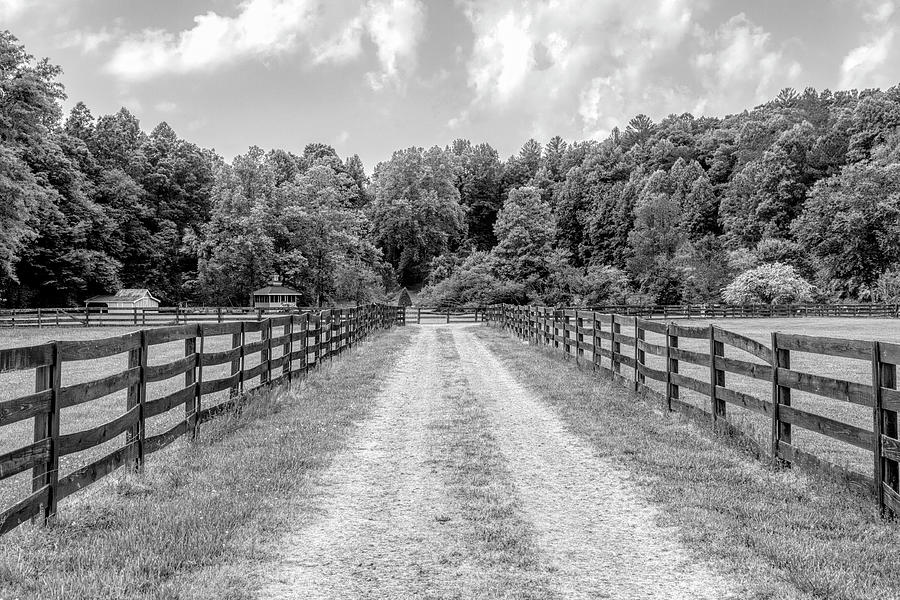 Long Fences in Hidden Valley Black and White  Photograph by Debra and Dave Vanderlaan