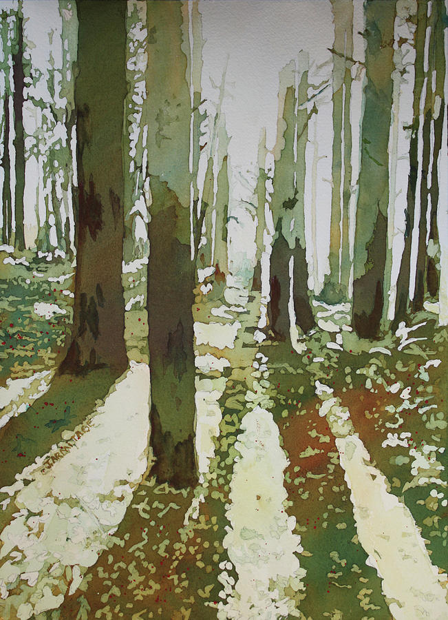 Long Fir Shadows Painting by Jenny Armitage