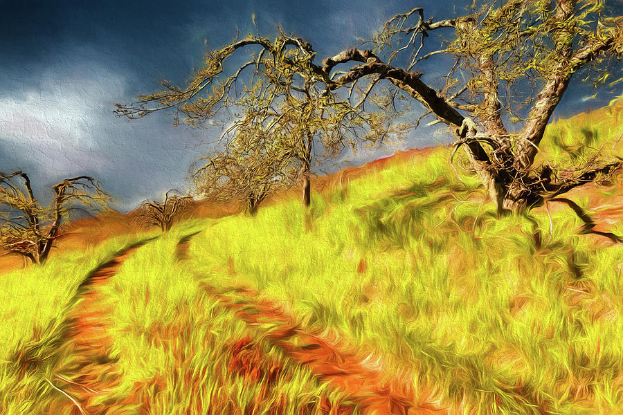 Long Grass in the Apple Orchard ap Painting by Dan Carmichael
