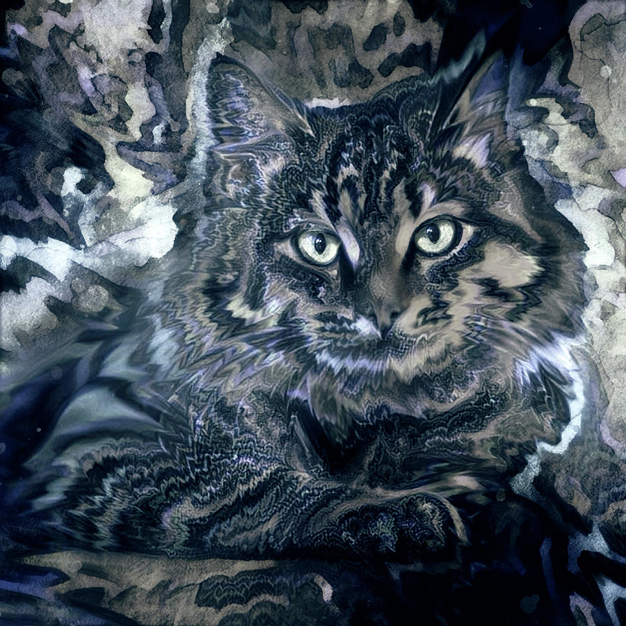 Long Haired Tabby Cat - Monotone Digital Art by Peggy Collins