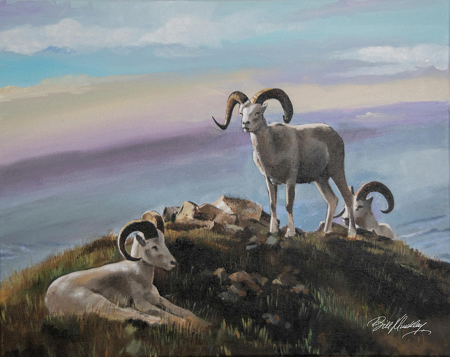 Nature Painting - Long Horn Dall Sheep by Bill Dunkley
