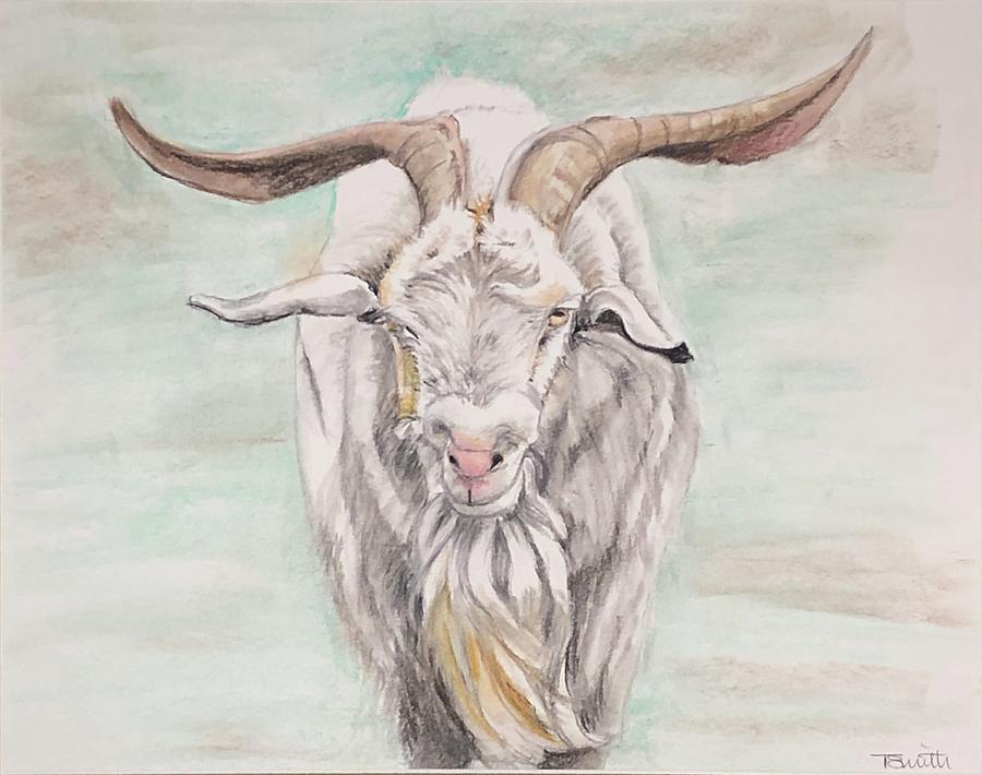 Long Horn Goat Pastel by Teresa Smith