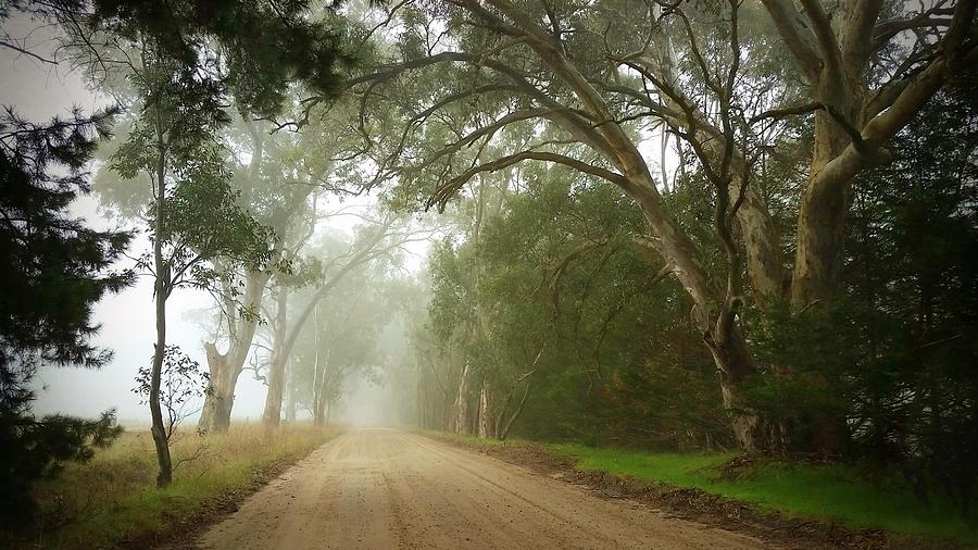 Misty Country Road Photograph by Louise Merigot