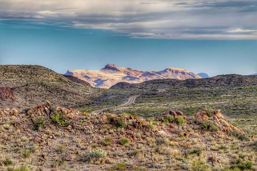 Long Road in Big Bend Photograph by Pam Rendall