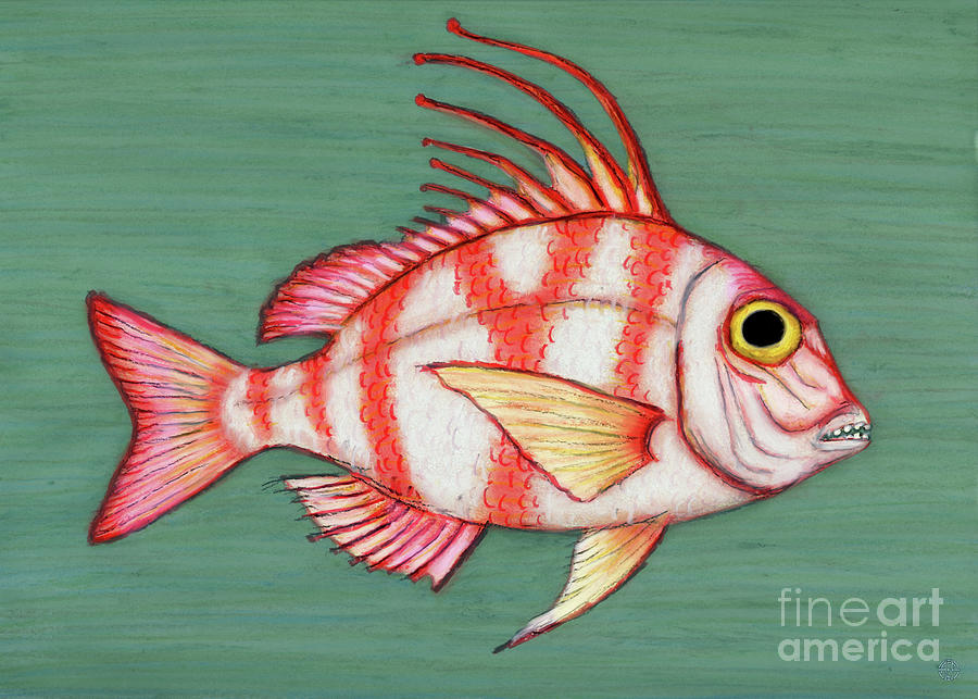 Long Spined Snapper Painting by Amy E Fraser