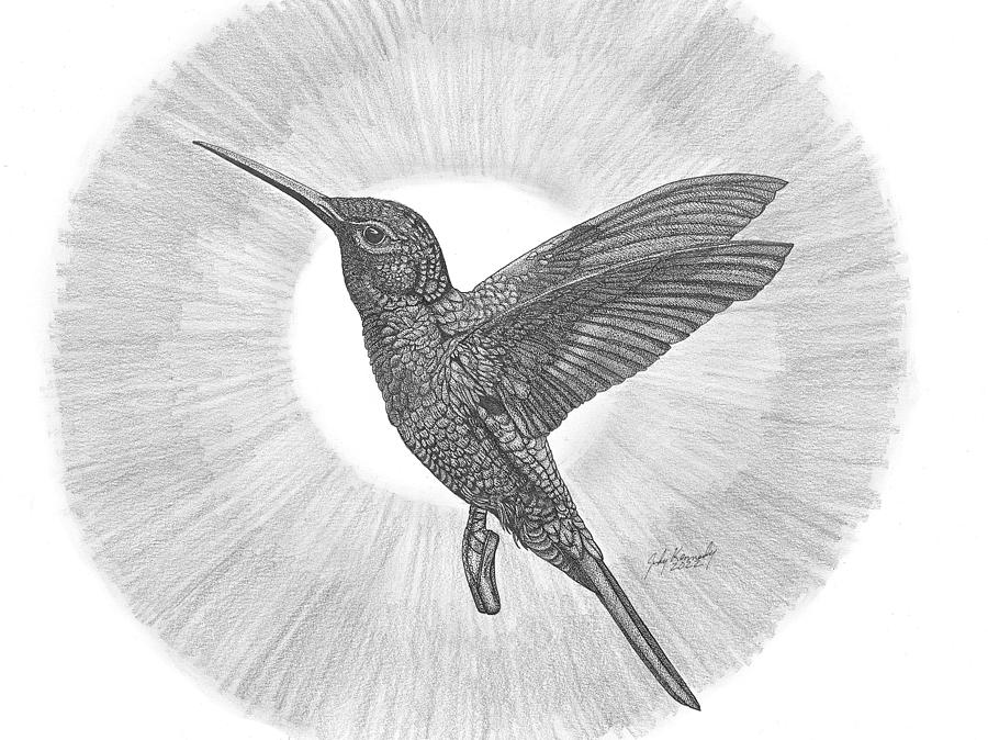 Stippling Drawing Hummingbird pen drawing on 3 x 3 paper pointillism all  dots original drawing
