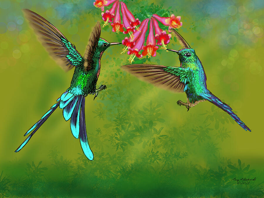 Long-tailed Sylph Hummingbirds Painting Digital Art by Gary F Richards