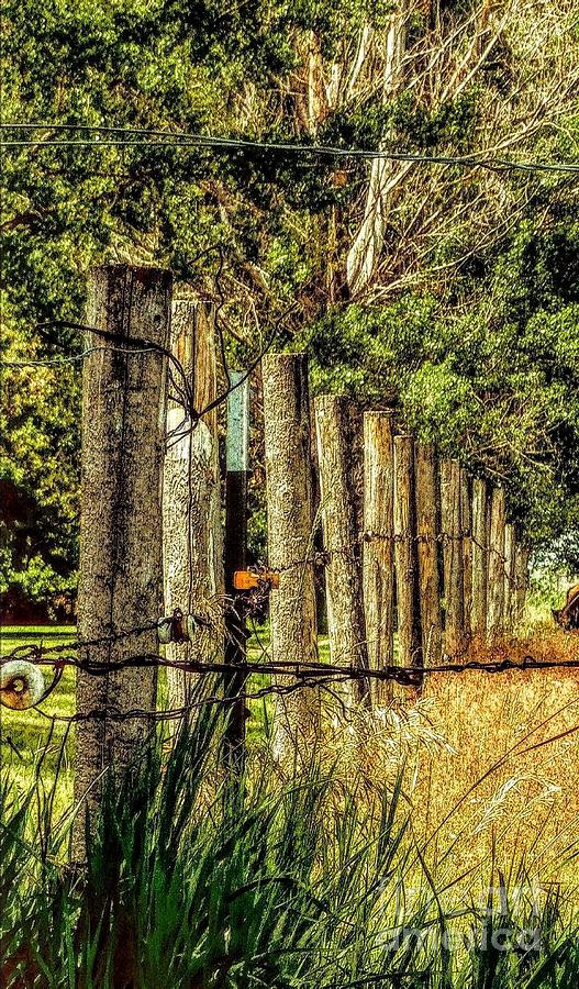 Long Tall Country Wood Fence Photograph