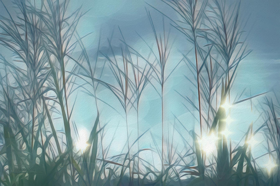 Grass Digital Art - Long Way Back Home by Mike Braun Grass Digital Art - Long Way Back Home by Mike Braun