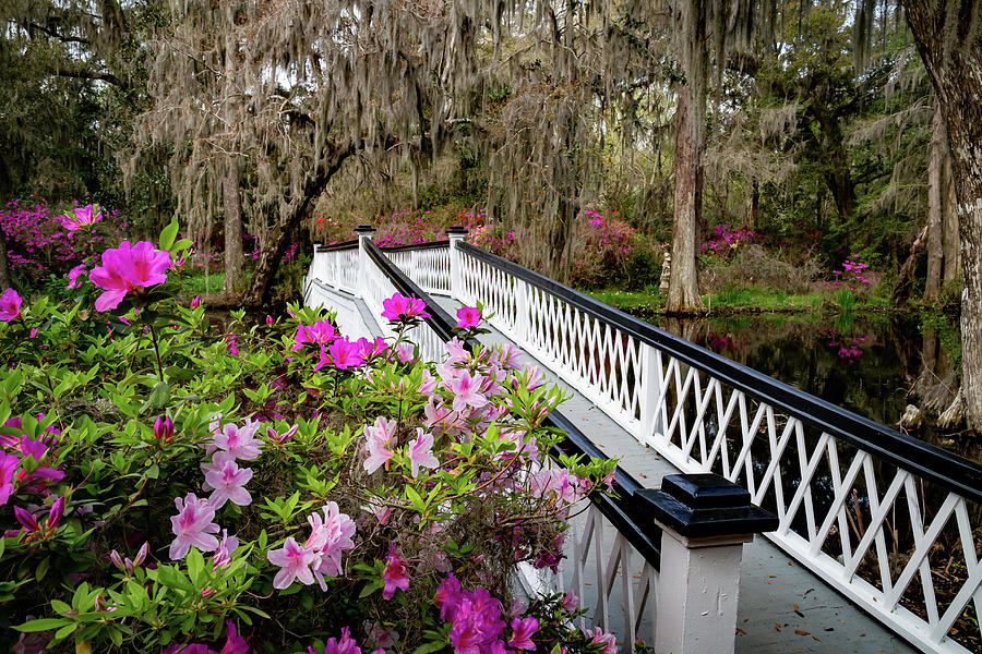 Long White Bridge in Spring 2 Photograph by Cindy Robinson
