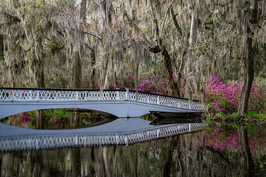 Long White Bridge in Spring 3 Photograph by Cindy Robinson