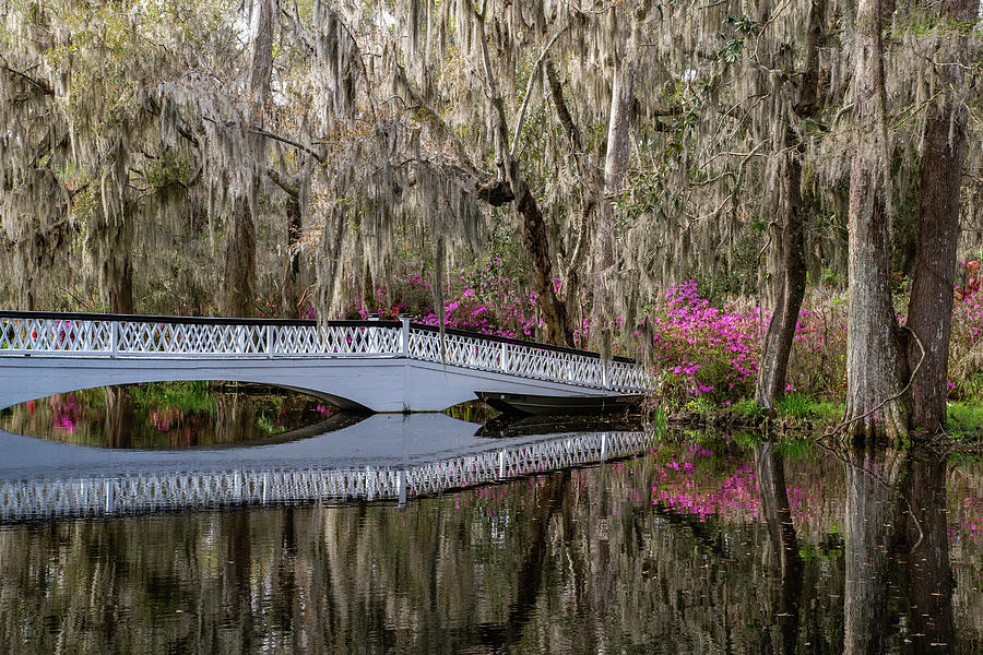 Long White Bridge in Spring Photograph by Cindy Robinson