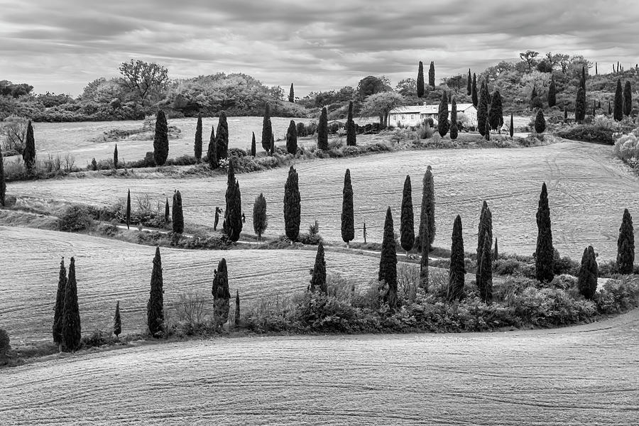 Long Winding Road 2639 Photograph by Karen Celella - Fine Art America