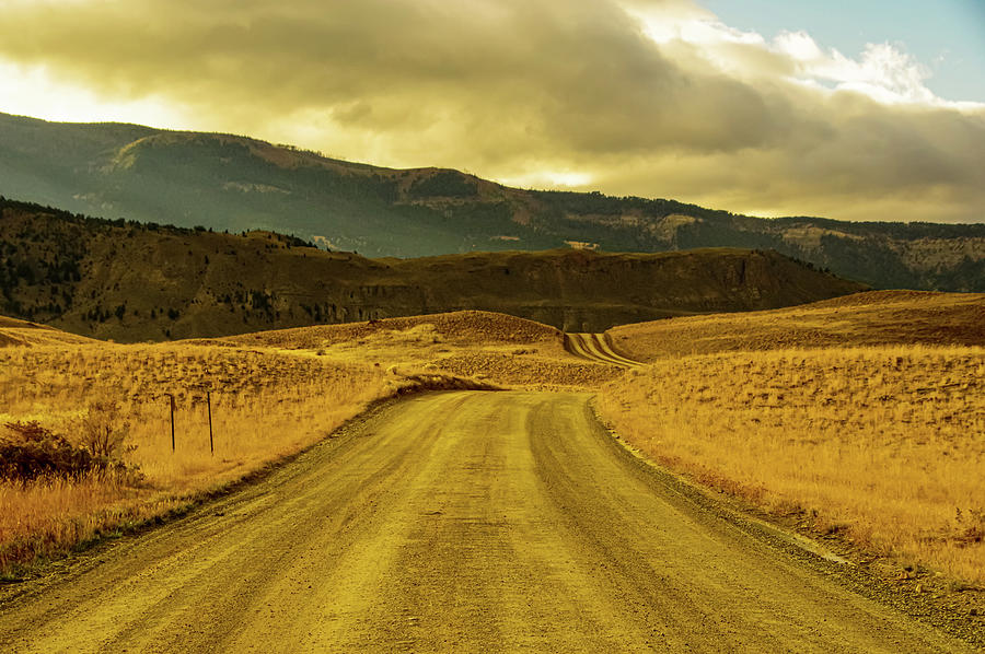 Long Winding Road In Yellowstone Photograph