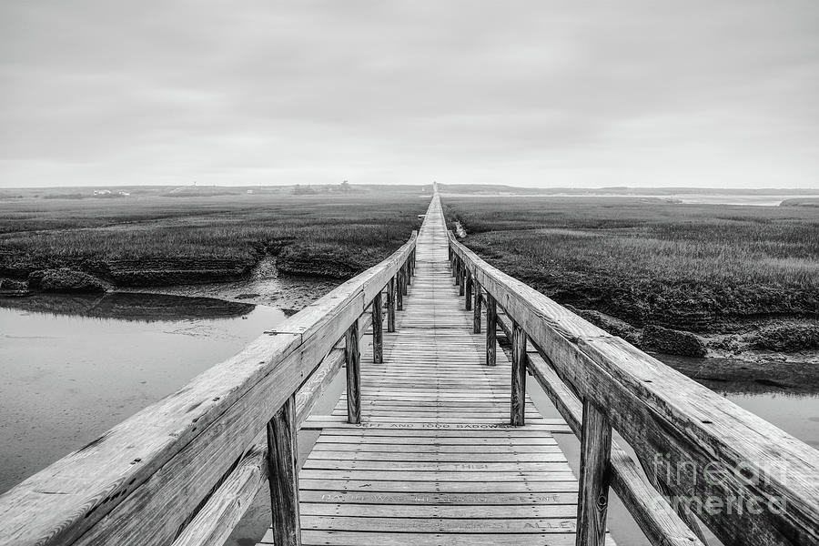Long Wooden Boardwalk Over the Marsh - bw Photograph by Robert Anastasi