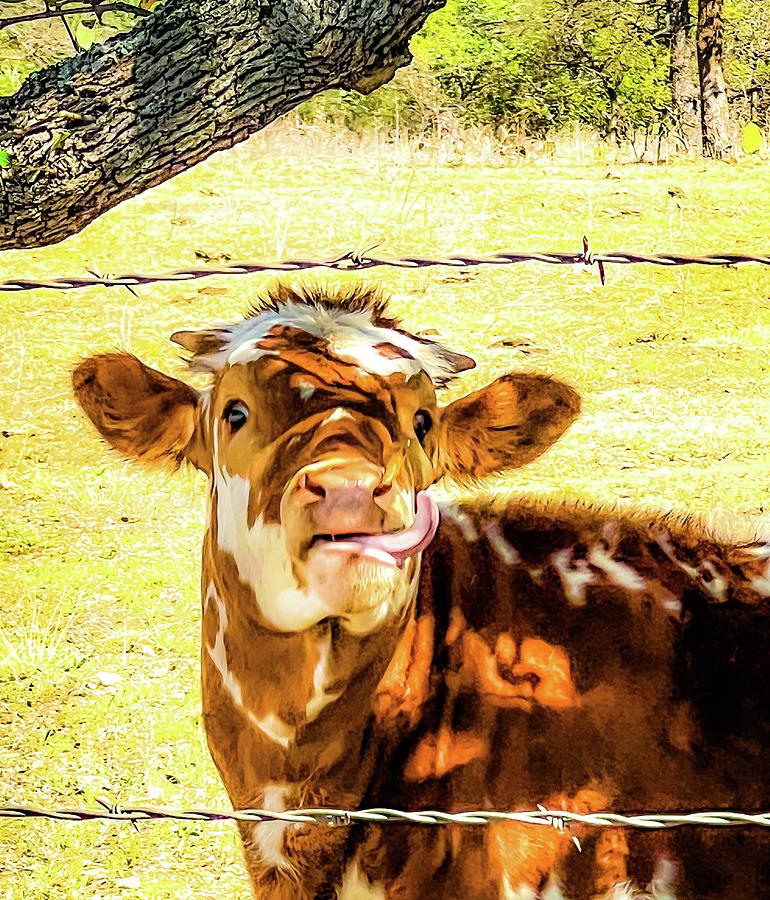 Cow Digital Art - Longhorn Calf Under Tree by Audreen Gieger