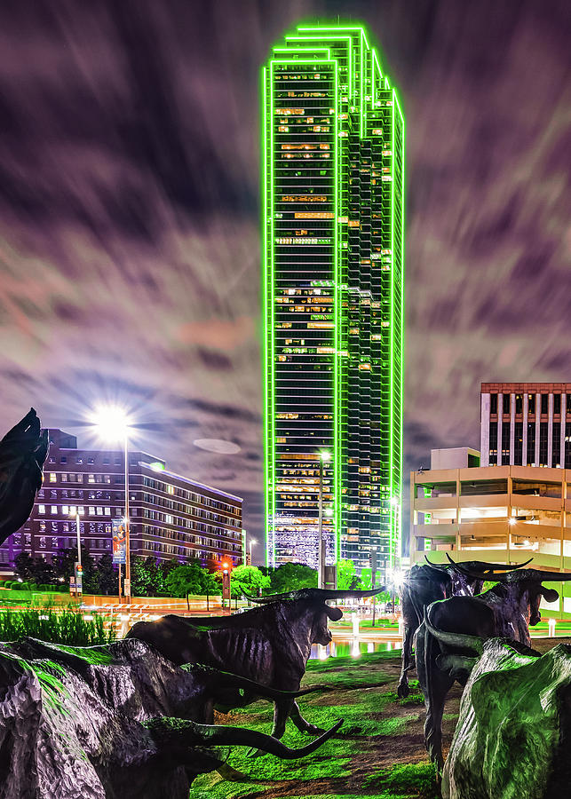 Longhorn Cattle Drive and the Dallas Skyline Photograph by Gregory Ballos