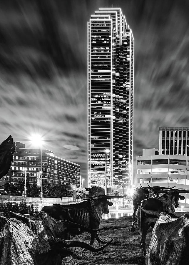 Black And White Photograph - Longhorn Cattle Drive and the Dallas Skyline - Monochrome Edition by Gregory Ballos