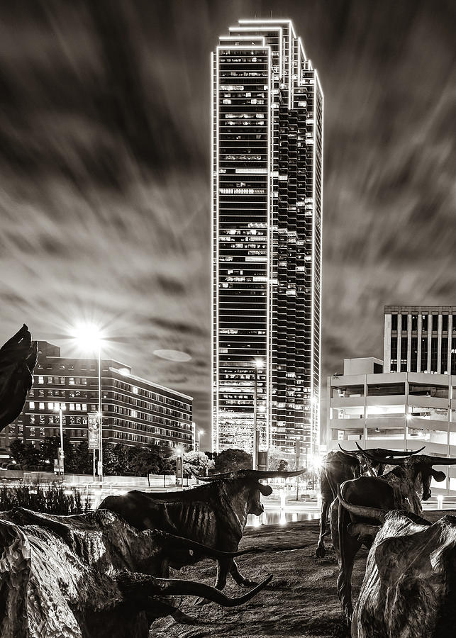 Longhorn Cattle Drive and the Dallas Skyline - Sepia Edition Photograph by Gregory Ballos