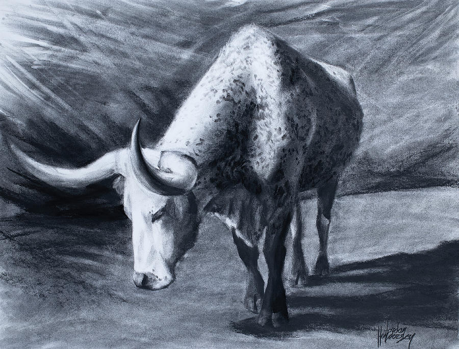 Black And White Drawing - Longhorn Cow Approaching by Jordan Henderson
