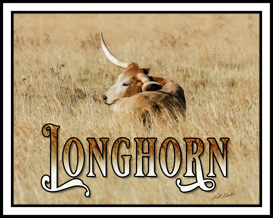 Longhorn Cow - Artistic - Text Photograph by Bill Kesler