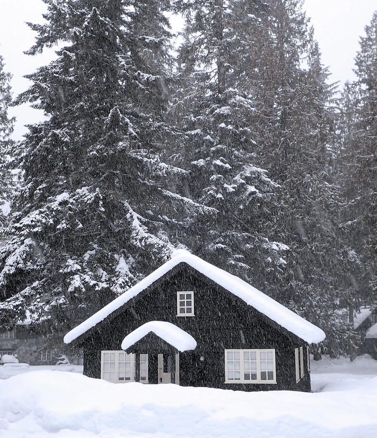 Longmire Housing In Snow Photograph