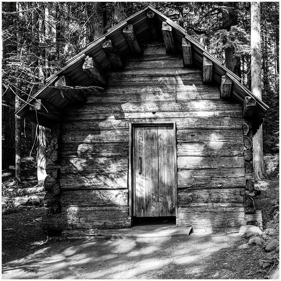 Longmire Mount Rainier. Photograph by Frank Winters - Fine Art America