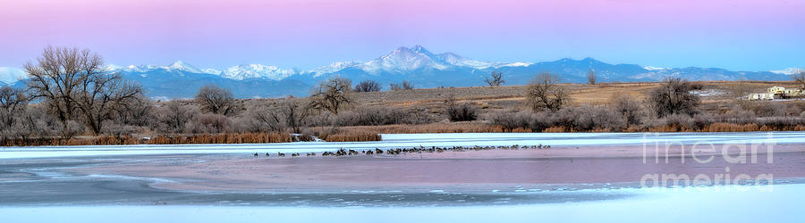 Longs Peak Morning from St Vrain State Park Photograph by Ronda Kimbrow