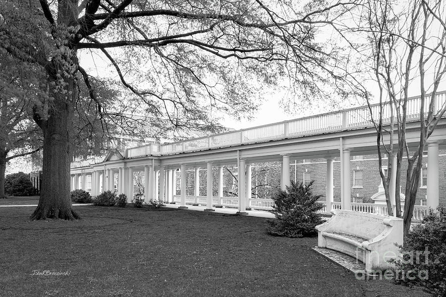 Longwood University Colonnades Photograph by University Icons