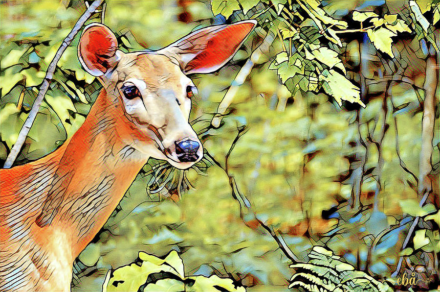 Look a Deer Digital Art by Elaine Berger