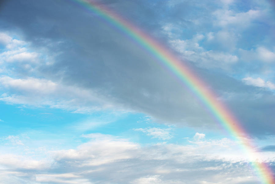 Look For Me In Rainbows Photograph by Debra Kewley