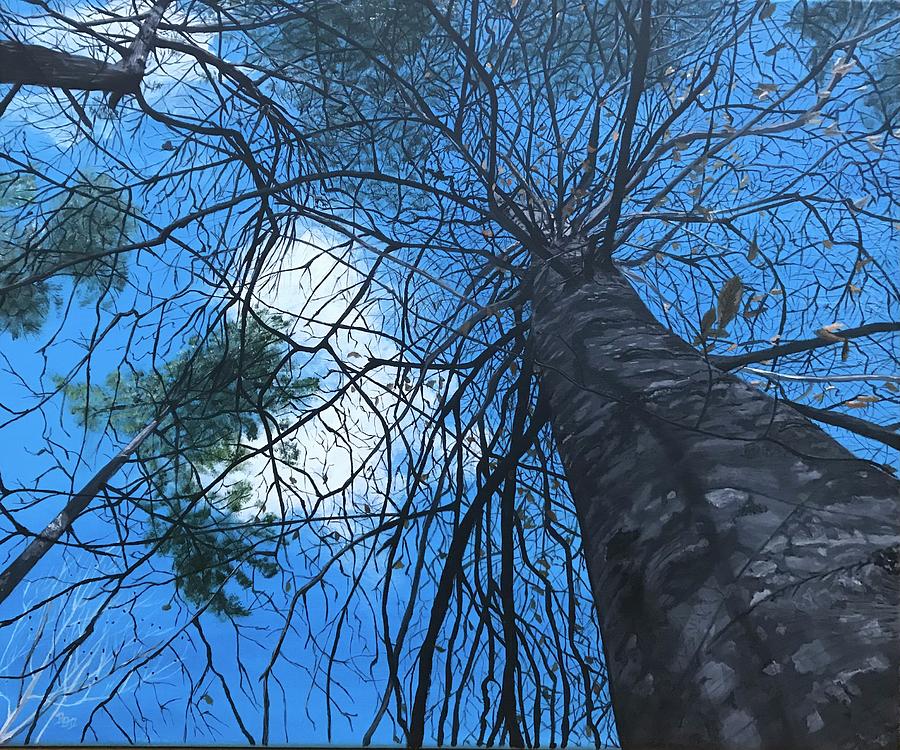 Tree Painting - Look Up by Boots Quimby