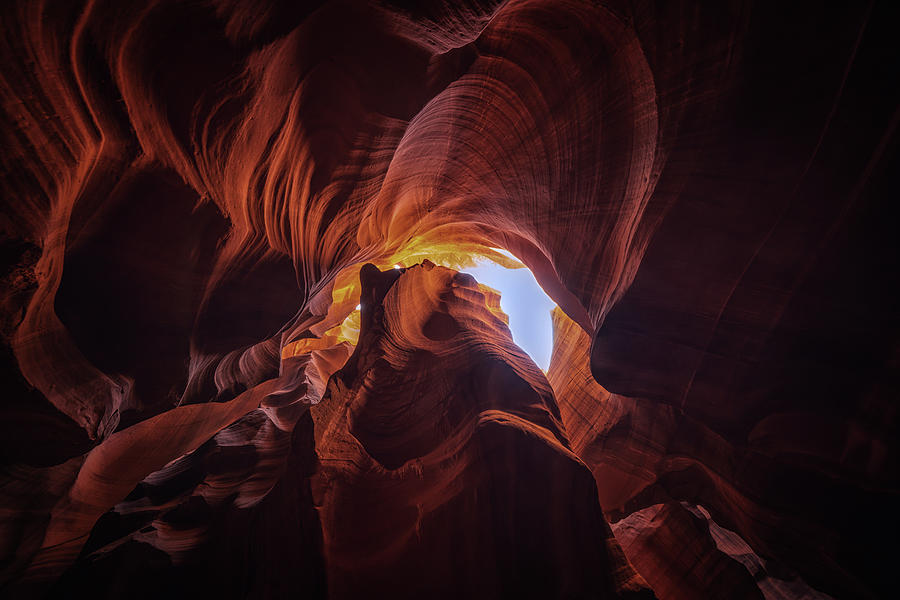 Arizona Photograph - Look Up by Framing Places Arizona Photograph - Look Up by Framing Places