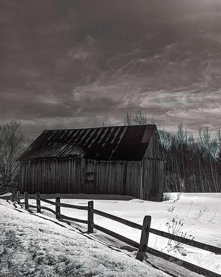 Look Up Look In Digital Art by Stefan Bright Fine Art America